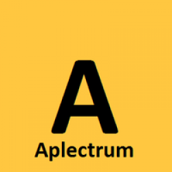 Aplectrum Solution Ltd.